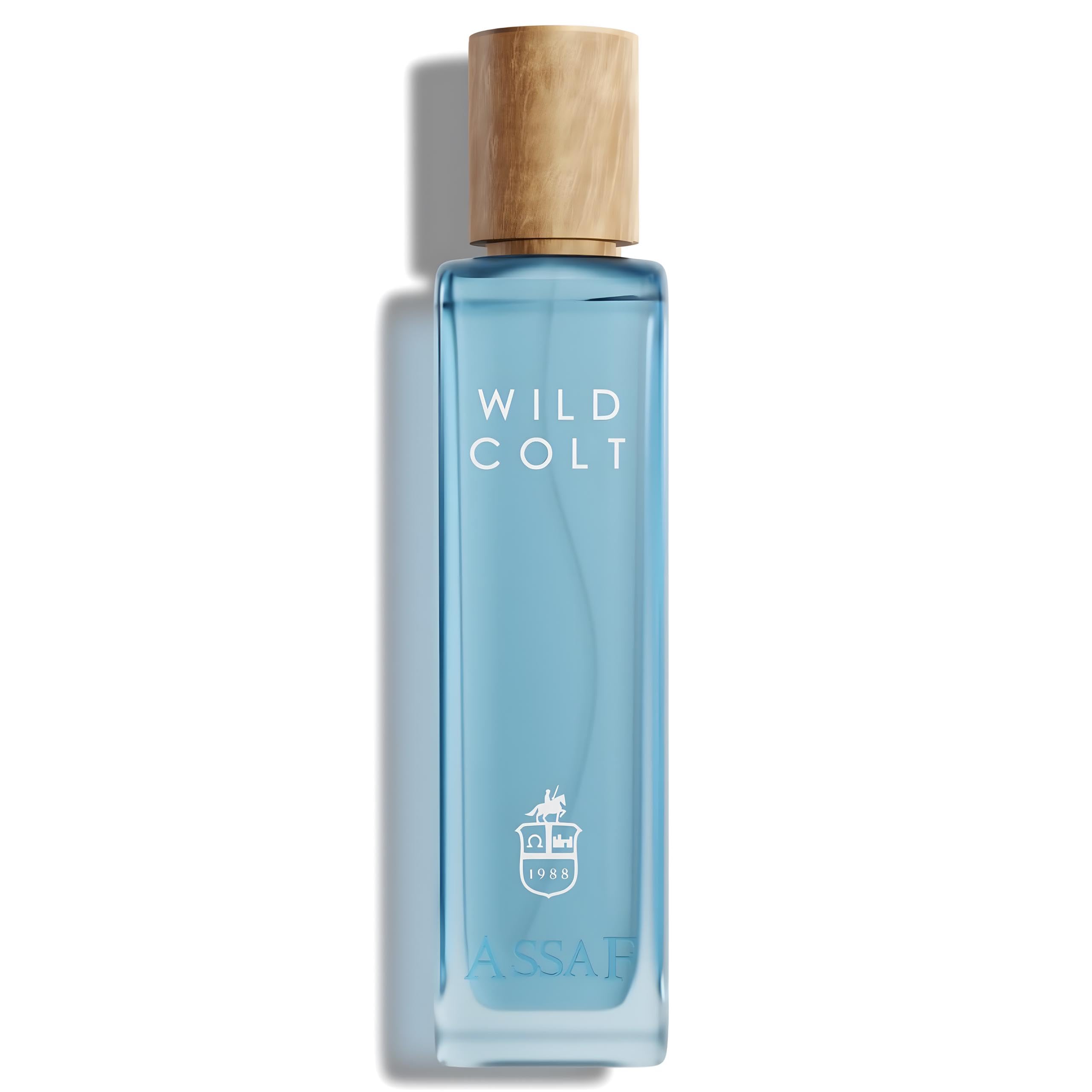 Assaf Wild Colt EDP 100ML