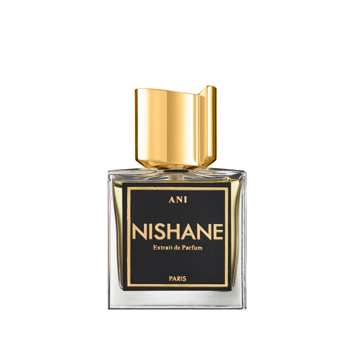 Nishane Ani Extrait De Parfum 100ML