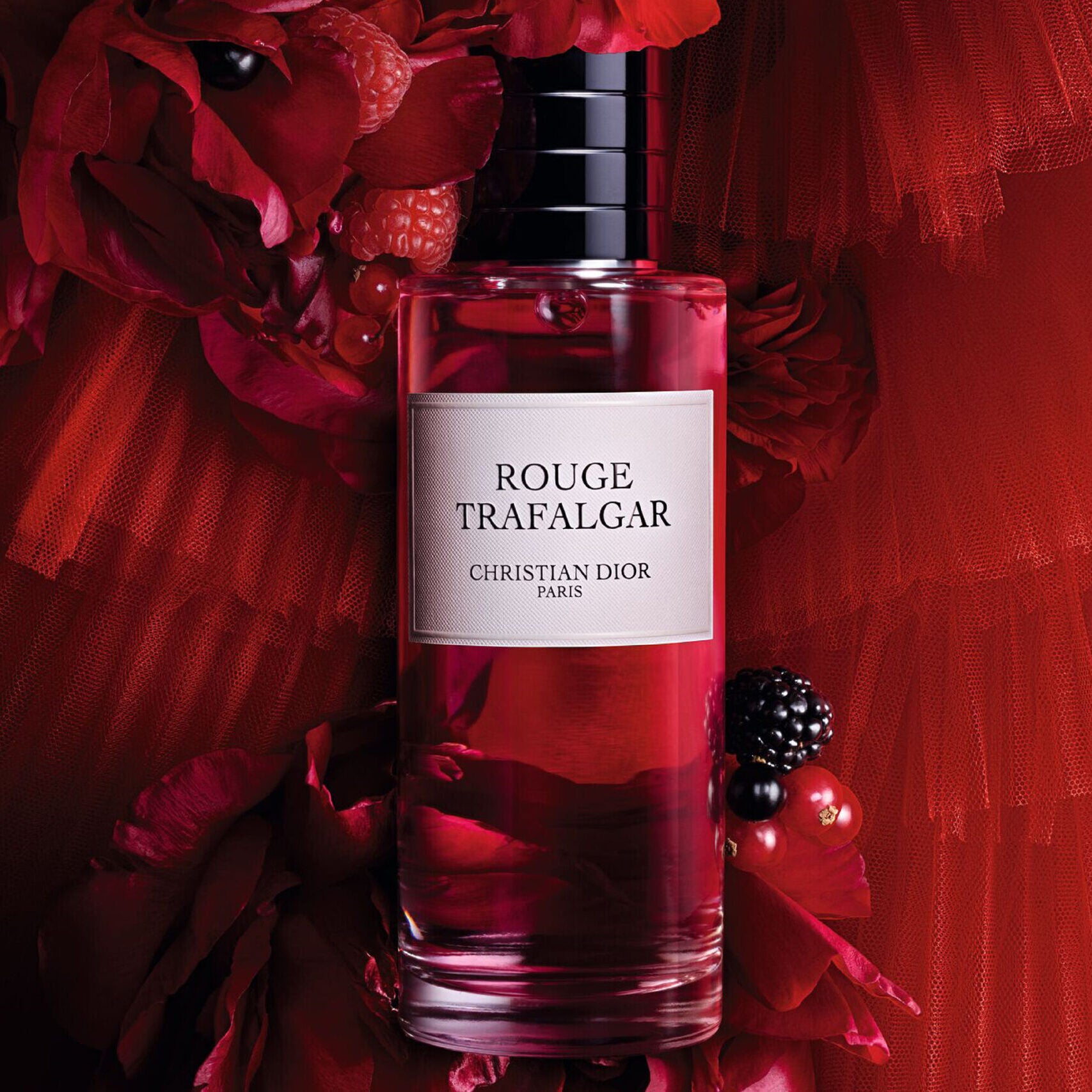 Dior Rouge Trafalgar EDP 200ML