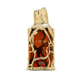 French Avenue Grow Eau de Parfum 100ml perfume bottle and luxury packaging with fresh green citrus woody fragrance for men and women unisex scent AT ALRAIES PERFUMES